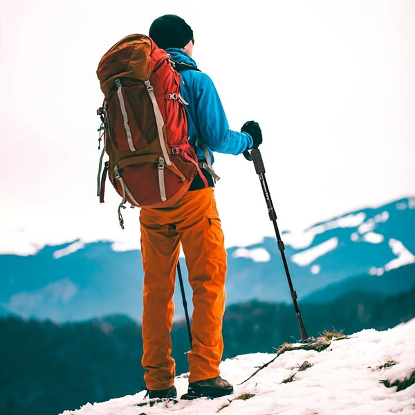 Ultimate Trekking Companion Pole